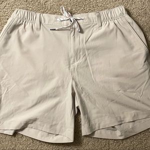 Chubbies Everywhere Stretch Shorts - L